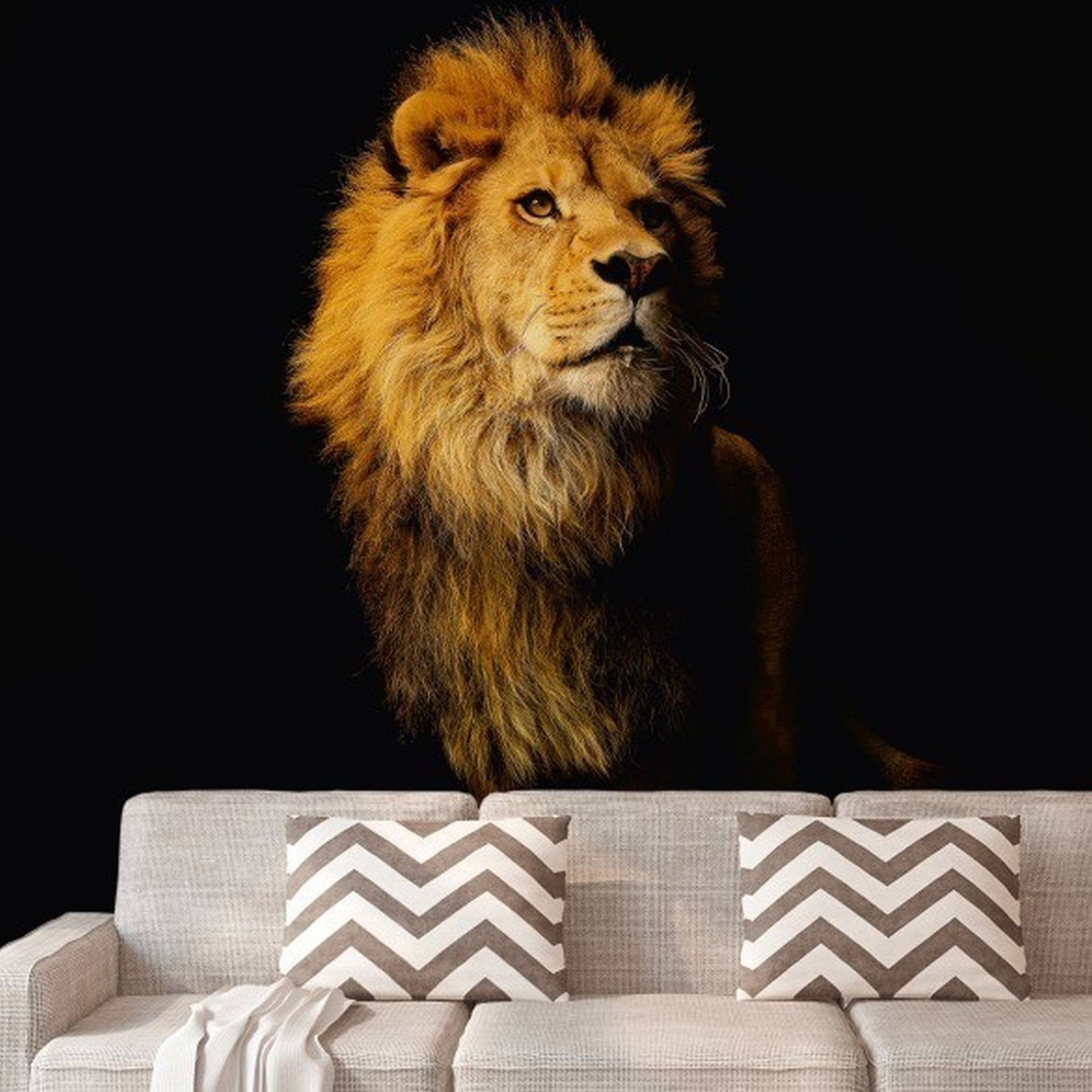 A.S. Creation | XXL 5 | DD114660 | Fototapete | Vlies | Versch. Größen | Tiere | Schwarz A.S. Creation | XXL 5 | DD114660 | Fototapete | Vlies | Versch. Größen | Tiere | Schwarz von A.S. Creation