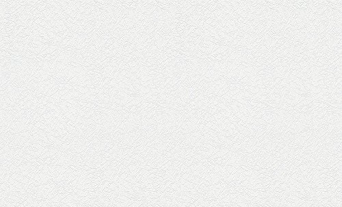 A.S. Création überstreichbare Vliestapete Meistervlies Tapete 25,00 m x 1,06 m weiß Made in Germany 573513 5735-13 A.S. Création überstreichbare Vliestapete Meistervlies Tapete 25,00 m x 1,06 m weiß Made in Germany 573513 5735-13 von A.S. Création