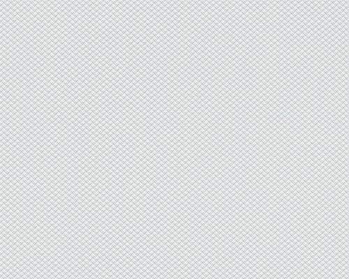 A.S. Création überstreichbare Vliestapete Meistervlies Tapete 25,00 m x 1,06 m weiß Made in Germany 935281 93528-1 von A.S. Création