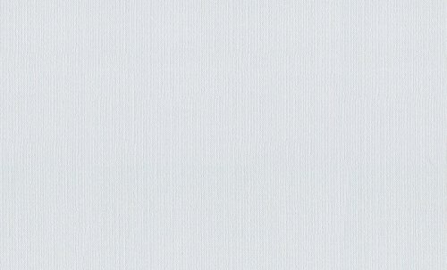 A.S. Création 958081 überstreichbare Meistervlies Tapete, 25 x 1,06 m, weiß / überstreichbar von A.S. Création