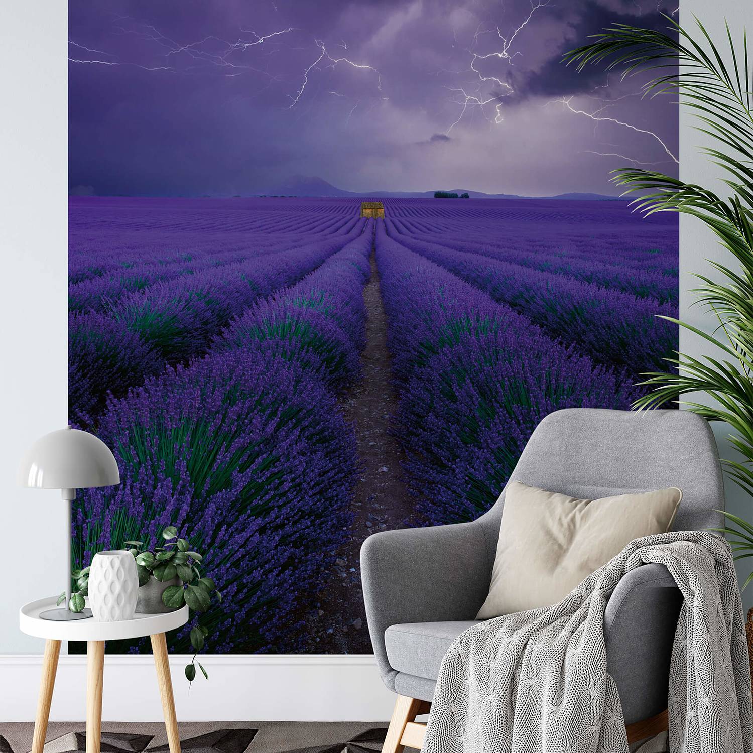 Fototapete Field of Lavender von A.S. Création
