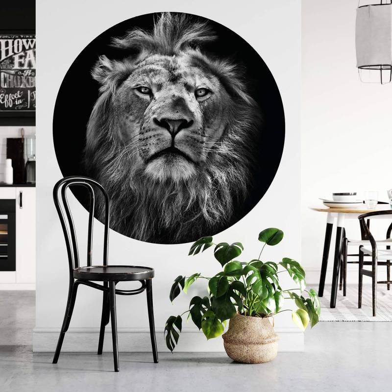 Fototapete Lion von A.S. Création