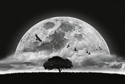 A.S. Création Fototapete - Tapete Nachthimmel Vollmond in Schwarz, Weiß und Grau - Wandtapete für verschiedene Räume - Vliestapete Wandbild XXL 384 x 260 cm von A.S. Création
