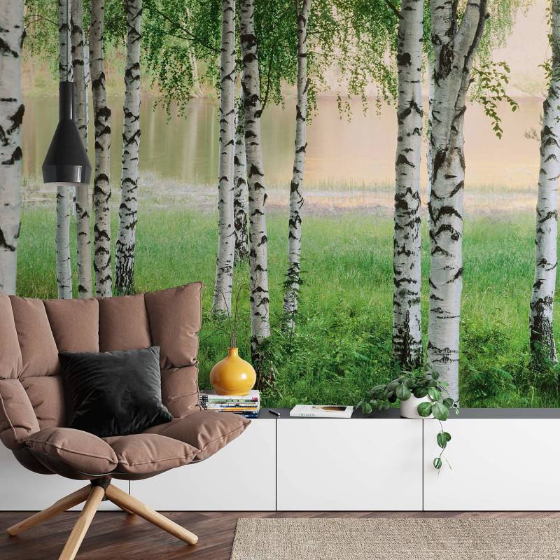 home24 Fototapete Nordic Forest Birke 3 x 2cm von home24