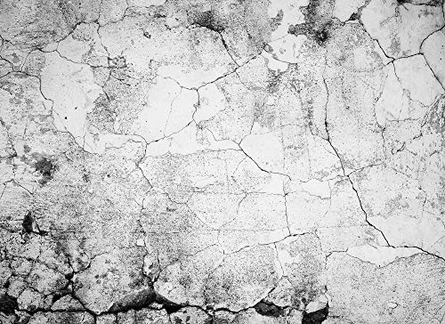 Livingwalls Fototapete Designwalls Vliestapete Cement Crack Tapete in Beton Optik in Grau, Schwarz, Weiß 350 x 255 cm XXL Wandtapete Wandbild 118768 Livingwalls Fototapete Designwalls Vliestapete Cement Crack Tapete in Beton Optik in Grau, Schwarz, Weiß 350 x 255 cm XXL Wandtapete Wandbild 118768 von A.S. Création