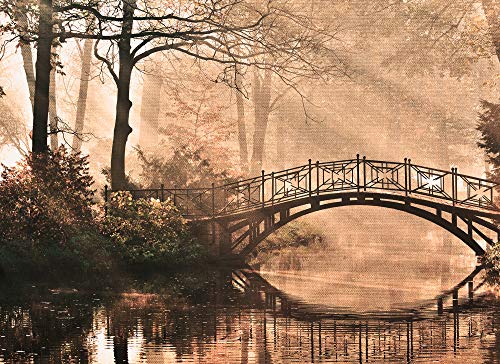 Livingwalls Fototapete Vliestapete - Tapete Park Bridge Wald in Beige, Braun, Creme - 350 x 255 cm XXL Wandtapete Wandbild Livingwalls Fototapete Vliestapete - Tapete Park Bridge Wald in Beige, Braun, Creme - 350 x 255 cm XXL Wandtapete Wandbild von A.S. Création