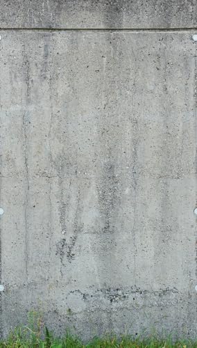 Livingwalls Vliestapete - Tapete Betonoptik in Grau - Wandtapete für verschiedene Räume - Wandbild XXL 2,80 m x 1,59 m von A.S. Création