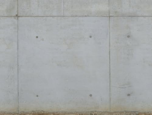 Livingwalls Vliestapete - Tapete Betonoptik in Grau - Wandtapete für verschiedene Räume - Wandbild XXL 2,80 m x 3,71 m von A.S. Création