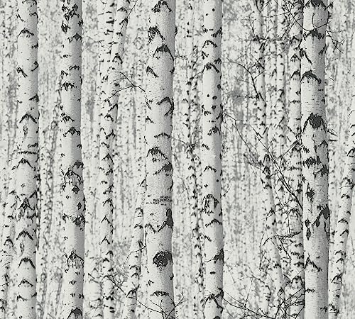 Tapete Birkenwald selbstklebend - Tapete Wald schwarz weiß - Naturtapete grau - 0,52 x 2,5m - Made in Germany von A.S. Création