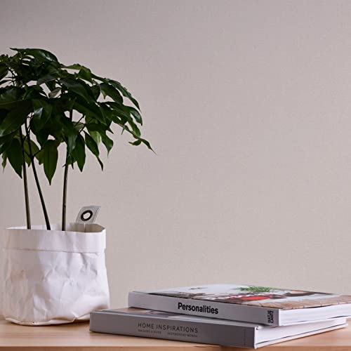 A.S. Création Tapete Uni Beige Braun Terra 389253 - Vliestapete Einfarbig - 10,05 m x 0,53 m Made in Germany A.S. Création Tapete Uni Beige Braun Terra 389253 - Vliestapete Einfarbig - 10,05 m x 0,53 m Made in Germany von A.S. Création