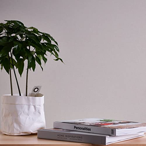 A.S. Création Tapete Uni Grau Terra 389255 - Vliestapete Einfarbig - 10,05 m x 0,53 m Made in Germany von A.S. Création