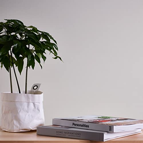 A.S. Création Unitapete Creme Hellgrau - A.S. Création Maison Charme 390851 - Vliestapete Einfarbig - 10,05 m x 0,53 m Made in Germany von A.S. Création