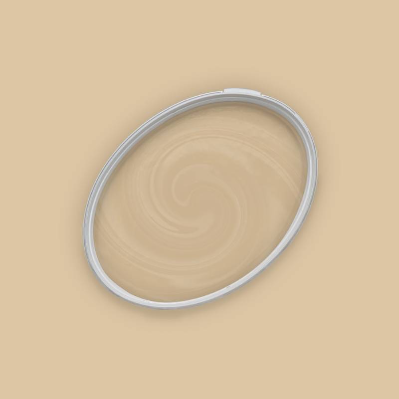 Wandfarbe Beige matt | The Color Kitchen Asthetic Artichoke | Exklusive Innendispersion Wandfarbe Beige matt | The Color Kitchen Asthetic Artichoke | Exklusive Innendispersion von A.S. Creation