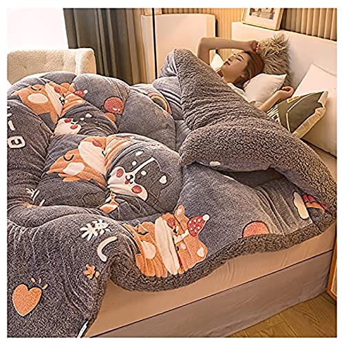 AAADRESSES Flanell Mikrofaser Decke, Flauschige Kaschmir Bettdecken Bettdecke füR Allergiker, Dicke Warme Winterdecke, Winterwarmer Lammfellkern,B,220×240cm(5kg) von AAADRESSES