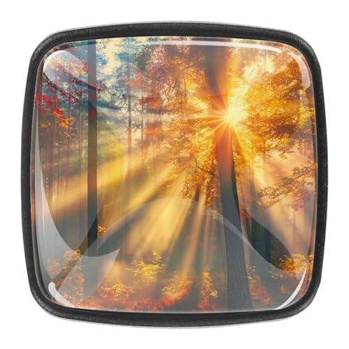 4 Stück Schubladenknöpfe Schrankknöpfe Und -Griffe Herbst Wald Natur 4 Stück Schubladenknöpfe Schrankknöpfe Und -Griffe Herbst Wald Natur von AADFAEWR