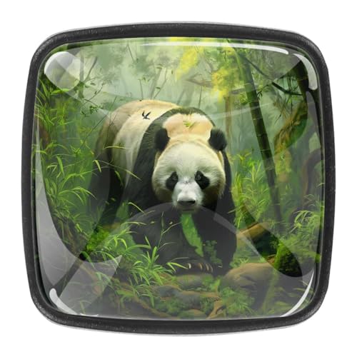 AADFAEWR 4 Stück Schubladenknöpfe Schrankknöpfe Und -Griffe Animal Panda AADFAEWR 4 Stück Schubladenknöpfe Schrankknöpfe Und -Griffe Animal Panda von AADFAEWR