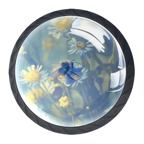 AADFAEWR 4 Stück Schubladenknöpfe Schrankknöpfe Und -Griffe Biene Und Blumen von AADFAEWR