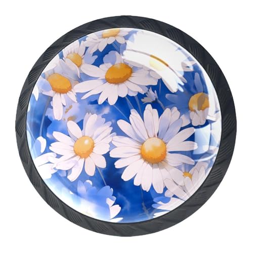 AADFAEWR 4 Stück Schubladenknöpfe Schrankknöpfe Und -Griffe Blossom Daisies Gänseblümchen Blumen Gemälde von AADFAEWR