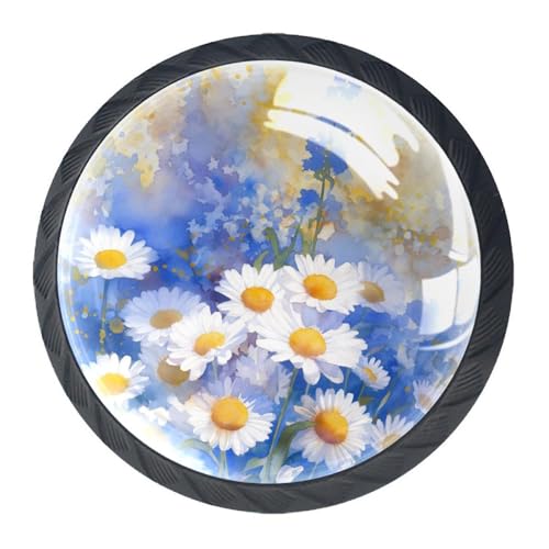 AADFAEWR 4 Stück Schubladenknöpfe Schrankknöpfe Und -Griffe Blossom Daisies Gänseblümchen Blumen Gemälde von AADFAEWR
