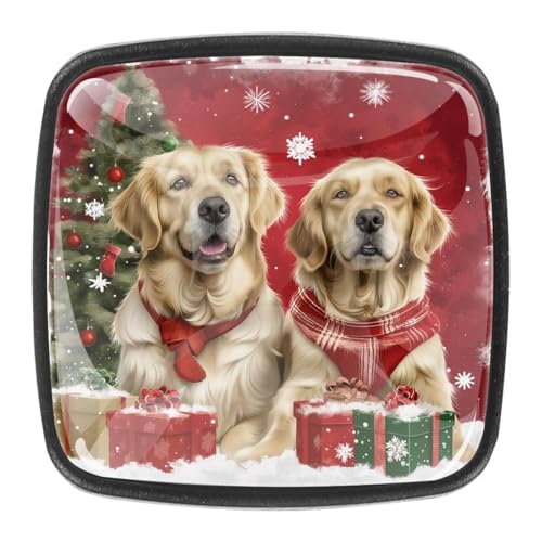 AADFAEWR 4 Stück Schubladenknöpfe Schrankknöpfe Und -Griffe Christmas Golden Retrievers Dogs AADFAEWR 4 Stück Schubladenknöpfe Schrankknöpfe Und -Griffe Christmas Golden Retrievers Dogs von AADFAEWR