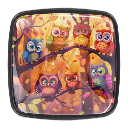 AADFAEWR 4 Stück Schubladenknöpfe Schrankknöpfe Und -Griffe Colorful Owls Autumn Tree AADFAEWR 4 Stück Schubladenknöpfe Schrankknöpfe Und -Griffe Colorful Owls Autumn Tree von AADFAEWR