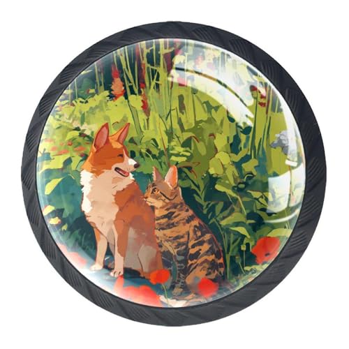 AADFAEWR 4 Stück Schubladenknöpfe Schrankknöpfe Und -Griffe Corgi-Hund Und Gestreifte Katze Mohnblumen von AADFAEWR