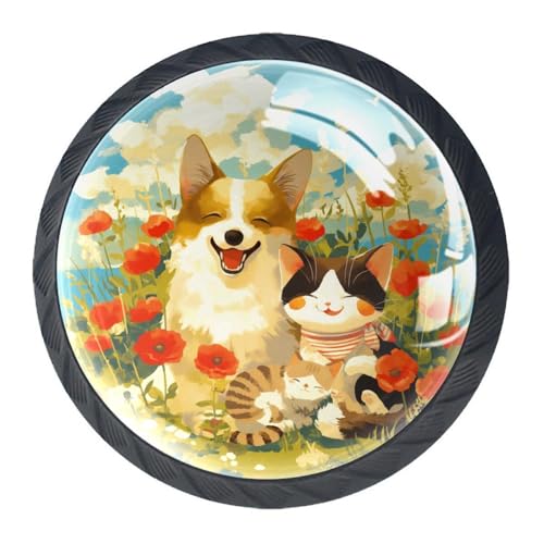 AADFAEWR 4 Stück Schubladenknöpfe Schrankknöpfe Und -Griffe Corgi-Hund Und Gestreifte Katze Mohnblumen AADFAEWR 4 Stück Schubladenknöpfe Schrankknöpfe Und -Griffe Corgi-Hund Und Gestreifte Katze Mohnblumen von AADFAEWR