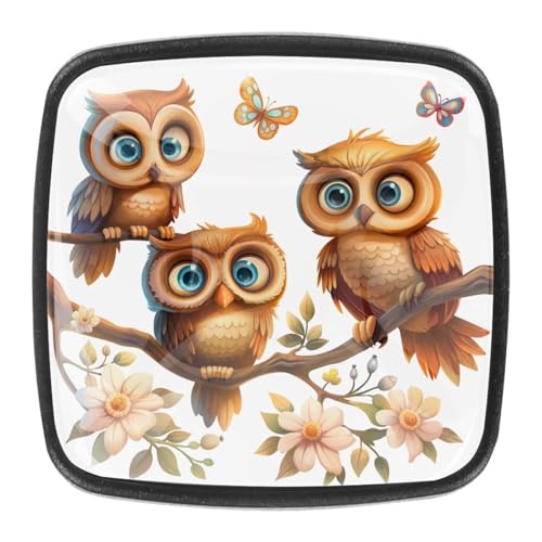 AADFAEWR 4 Stück Schubladenknöpfe Schrankknöpfe Und -Griffe Cute Owls And Butterflies AADFAEWR 4 Stück Schubladenknöpfe Schrankknöpfe Und -Griffe Cute Owls And Butterflies von AADFAEWR