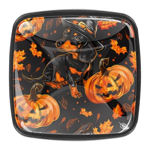 AADFAEWR 4 Stück Schubladenknöpfe Schrankknöpfe Und -Griffe Halloween Hund Kürbisse Muster AADFAEWR 4 Stück Schubladenknöpfe Schrankknöpfe Und -Griffe Halloween Hund Kürbisse Muster von AADFAEWR