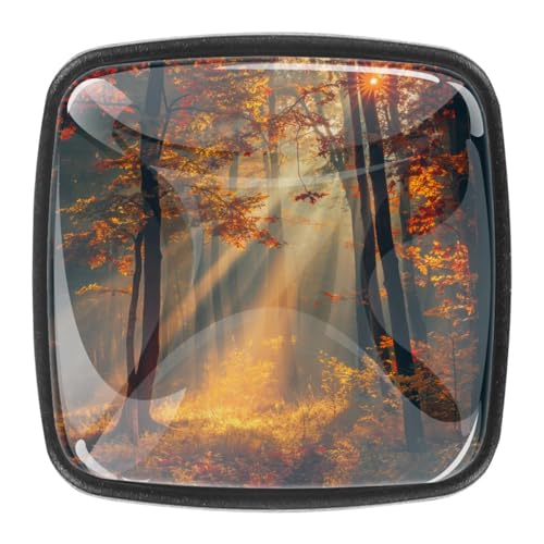 AADFAEWR 4 Stück Schubladenknöpfe Schrankknöpfe Und -Griffe Herbstwald Natur AADFAEWR 4 Stück Schubladenknöpfe Schrankknöpfe Und -Griffe Herbstwald Natur von AADFAEWR