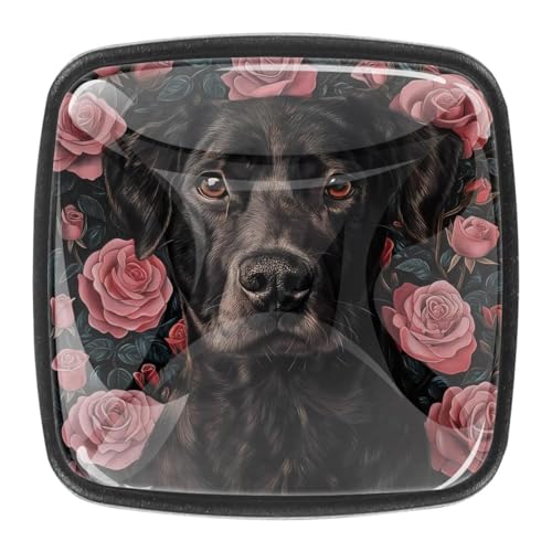 AADFAEWR 4 Stück Schubladenknöpfe Schrankknöpfe Und -Griffe Hund Mit Rosen Blumen AADFAEWR 4 Stück Schubladenknöpfe Schrankknöpfe Und -Griffe Hund Mit Rosen Blumen von AADFAEWR