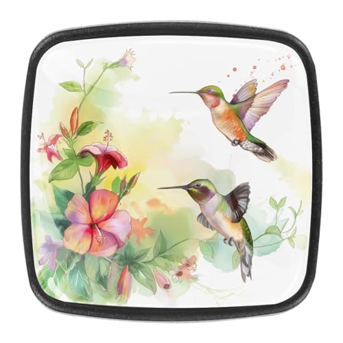 AADFAEWR 4 Stück Schubladenknöpfe Schrankknöpfe Und -Griffe Kolibris Blumen AADFAEWR 4 Stück Schubladenknöpfe Schrankknöpfe Und -Griffe Kolibris Blumen von AADFAEWR