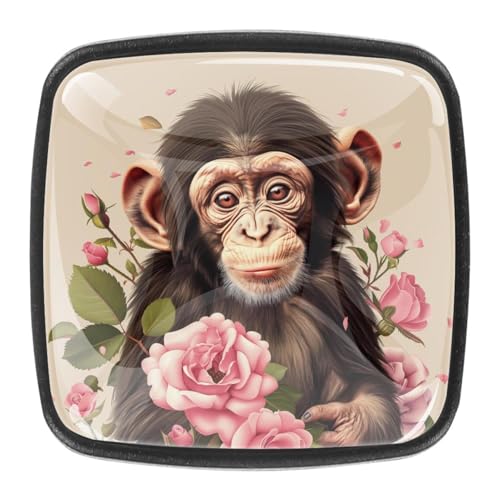 AADFAEWR 4 Stück Schubladenknöpfe Schrankknöpfe Und -Griffe Monkey Roses Blossom Blumen AADFAEWR 4 Stück Schubladenknöpfe Schrankknöpfe Und -Griffe Monkey Roses Blossom Blumen von AADFAEWR