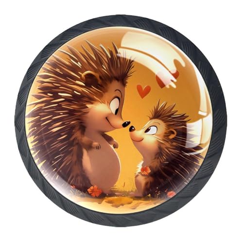 AADFAEWR 4 Stück Schubladenknöpfe Schrankknöpfe Und -Griffe Pärchen Igel Liebe von AADFAEWR