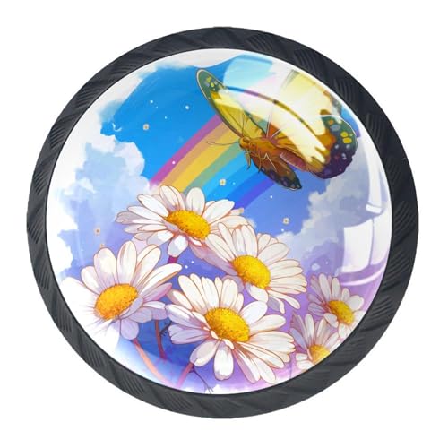 AADFAEWR 4 Stück Schubladenknöpfe Schrankknöpfe Und -Griffe Schmetterling Regenbogen Gänseblümchen Blumen von AADFAEWR