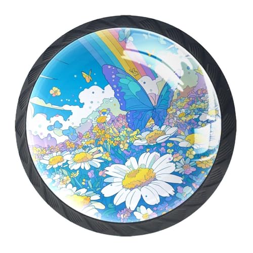 AADFAEWR 4 Stück Schubladenknöpfe Schrankknöpfe Und -Griffe Schmetterling Regenbogen Gänseblümchen Blumen von AADFAEWR