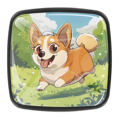 AADFAEWR 4 Stück Schubladenknöpfe Schrankknöpfe Und -Griffe Süßer Corgi-Hund Rennt Im Frühling von AADFAEWR