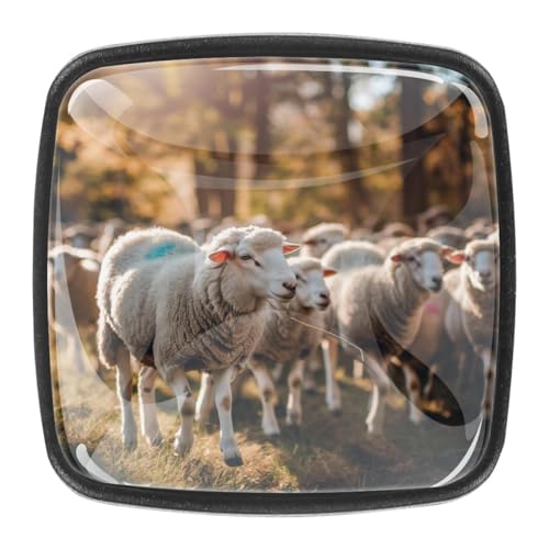 AADFAEWR 4 Stück Schubladenknöpfe Schrankknöpfe Und -Griffe Tierisches Schaf AADFAEWR 4 Stück Schubladenknöpfe Schrankknöpfe Und -Griffe Tierisches Schaf von AADFAEWR