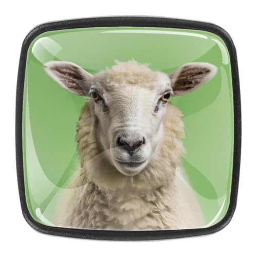 AADFAEWR 4 Stück Schubladenknöpfe Schrankknöpfe Und -Griffe Tierisches Schaf AADFAEWR 4 Stück Schubladenknöpfe Schrankknöpfe Und -Griffe Tierisches Schaf von AADFAEWR