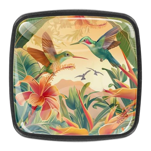 AADFAEWR 4 Stück Schubladenknöpfe Schrankknöpfe Und -Griffe Tropische Blätter Blumen Kolibris AADFAEWR 4 Stück Schubladenknöpfe Schrankknöpfe Und -Griffe Tropische Blätter Blumen Kolibris von AADFAEWR