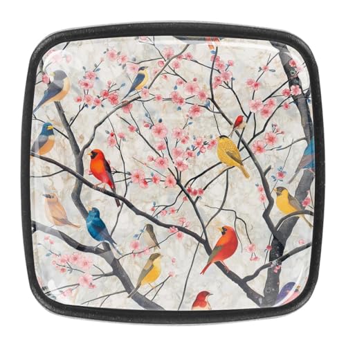 AADFAEWR 4 Stück Schubladenknöpfe Schrankknöpfe Und -Griffe Vögel Auf Der Kirschblüte AADFAEWR 4 Stück Schubladenknöpfe Schrankknöpfe Und -Griffe Vögel Auf Der Kirschblüte von AADFAEWR