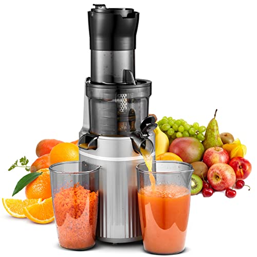 AOBOSI 200W Slow Juicer, Entsafter mit Rückwärts Funktion und zwei Filtergrößen. entsafter gemüse und obst testsieger, multifunktionale entsafter gemüse und obst mit Smart Chip. Obstpresse-Grau. von AAOBOSI