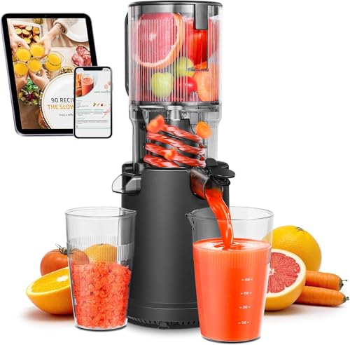 Slow-Juicer-AOBOSI -Entsafter Gemüse und Obst Testsieger von AAOBOSI