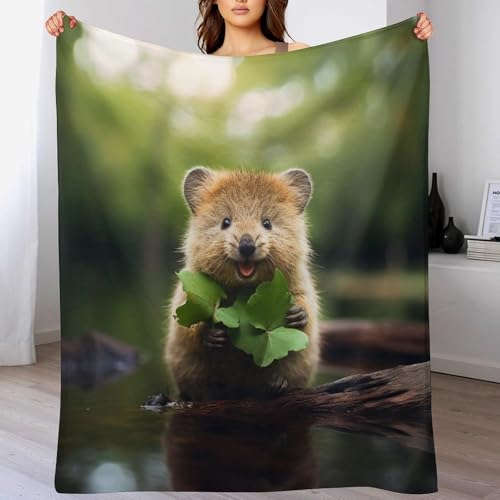 AAPZY Quokka Kuscheldecke Couchdecke Decke Aus Flannel - Tagesdecke Wohndecken Für Sofa, Couch Oder Als Bettüberwurf - Waschbare Decke （100×130cm） von AAPZY