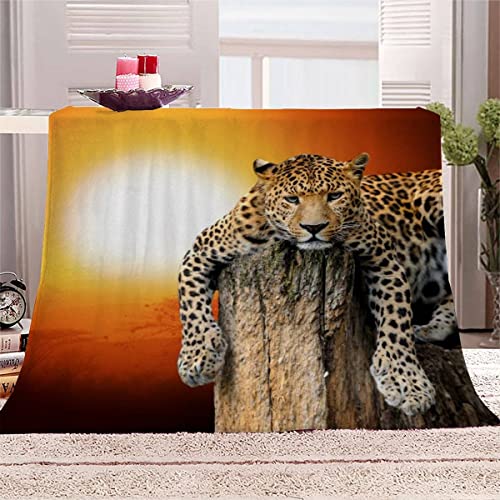 Decke 150x200cm Leopard Kuscheldecken Flauschig 3D Natur Tiere Sonnenuntergang Weich Warme Flanell Wohndecke Fleecedecke Bettüberwurf Sofadecke Couchdecke Geschenke für Kinder Erwachsener von AASIRA
