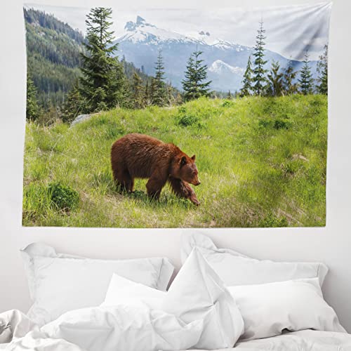 ABAKUHAUS Bär Wandteppich, Fell Tier Natur Lebensraum, aus Weiches Mikrofaser Stoff Für das Wohn und Schlafzimmer, 150 x 110 cm, Grün braun von ABAKUHAUS