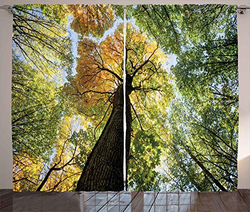 ABAKUHAUS Baum Rustikaler Vorhang, Wald Herbst Wachstum Eco, Wohnzimmer Universalband Gardinen mit Schlaufen und Haken, 280 x 245 cm, Dunkelbraun Hellgrün von ABAKUHAUS
