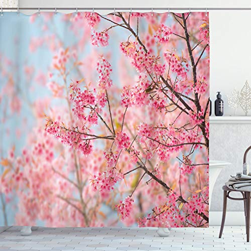 ABAKUHAUS Blumen Duschvorhang, Japanische Sakura Kirsche, Stoffliches Gewebe Badezimmerdekorationsset mit Haken, 175 x 200 cm, Pale Pink Baby Blue von ABAKUHAUS