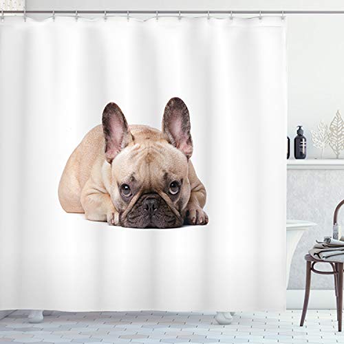 ABAKUHAUS Bulldogge Duschvorhang, Funny Pet Tierliebhaber, Stoffliches Gewebe Badezimmerdekorationsset mit Haken, 175 x 180 cm, Sand Braun Hellrosa von ABAKUHAUS