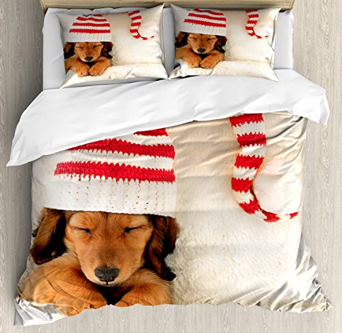 ABAKUHAUS Dackel Bettbezugs Set Für Doppelbetten, Hund in der Weihnachts Elf-Hut, Milbensicher Allergiker geeignet mit Kissenbezügen, 200 x 200 cm, Zimt ABAKUHAUS Dackel Bettbezugs Set Für Doppelbetten, Hund in der Weihnachts Elf-Hut, Milbensicher Allergiker geeignet mit Kissenbezügen, 200 x 200 cm, Zimt von ABAKUHAUS